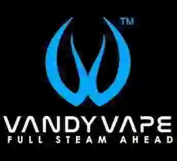 Vandy Vape BSKR Elite Kit Filters (Pack 20 Units)